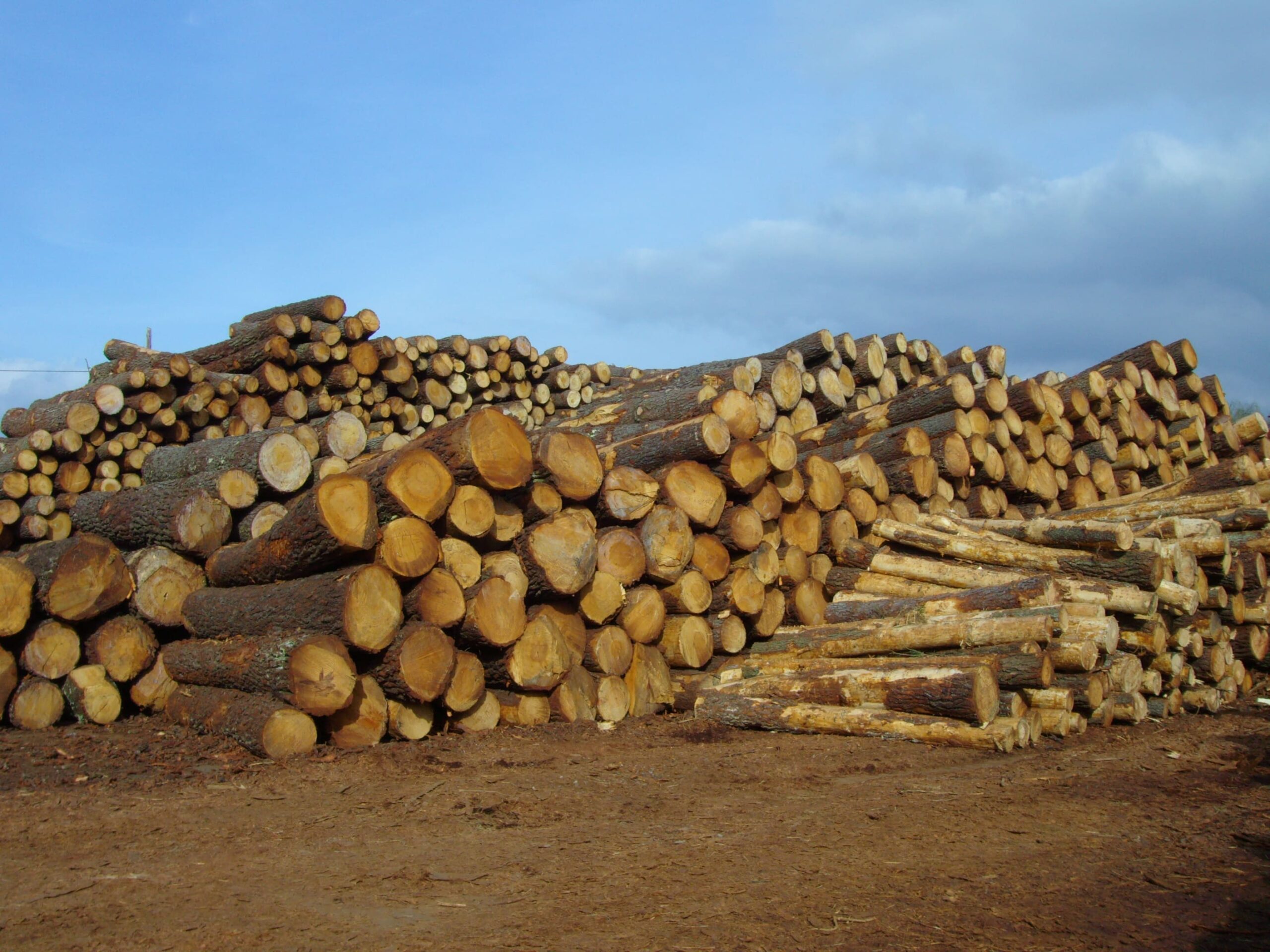 Zonas logísticas para el sector forestal asturiano